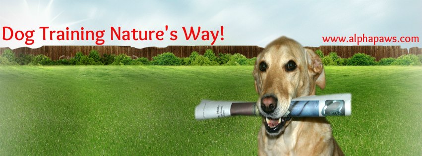 Image for Alpha Paws with ID of: 7104062