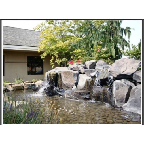 Image for Clearwater Dental with ID of: 7106515