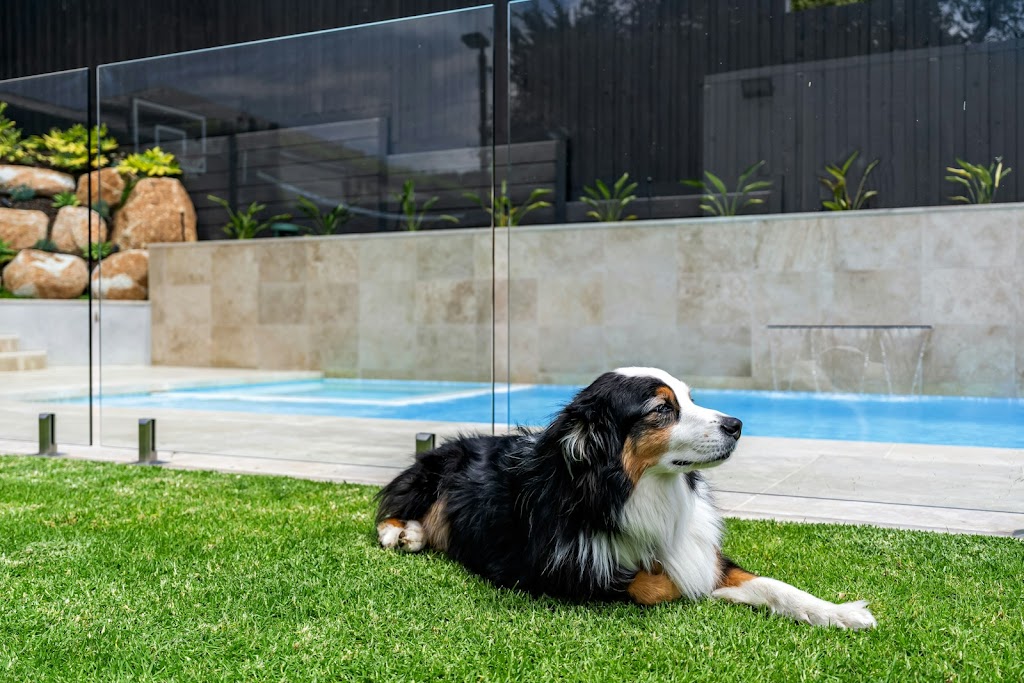 Image for Local Pool Inspections with ID of: 7107374