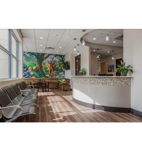 Image for Celebration Pediatric Dentistry with ID of: 7107461
