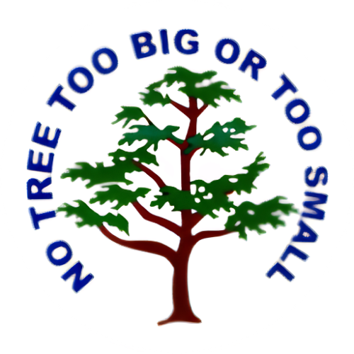 Image for Matt's Maintenance Tree Service with ID of: 7109301
