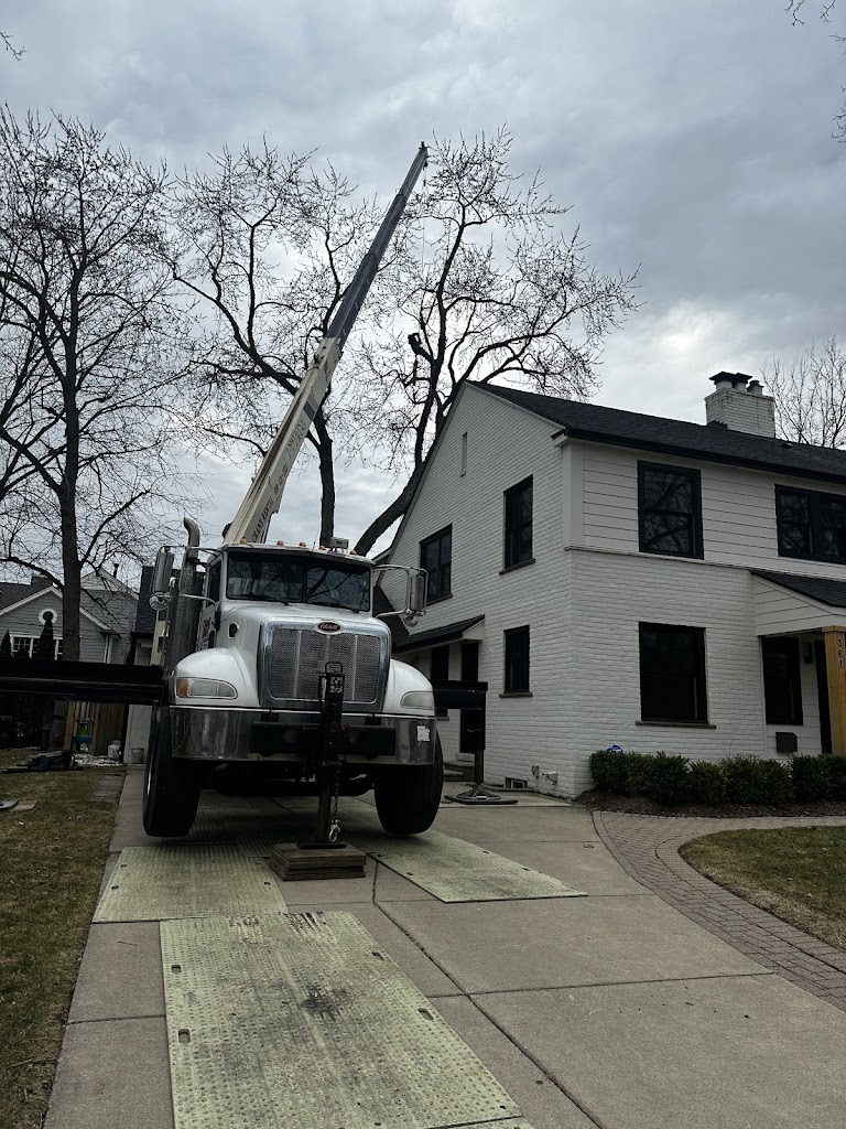 Image for JCS Tree Care Professionals LLC with ID of: 7109995