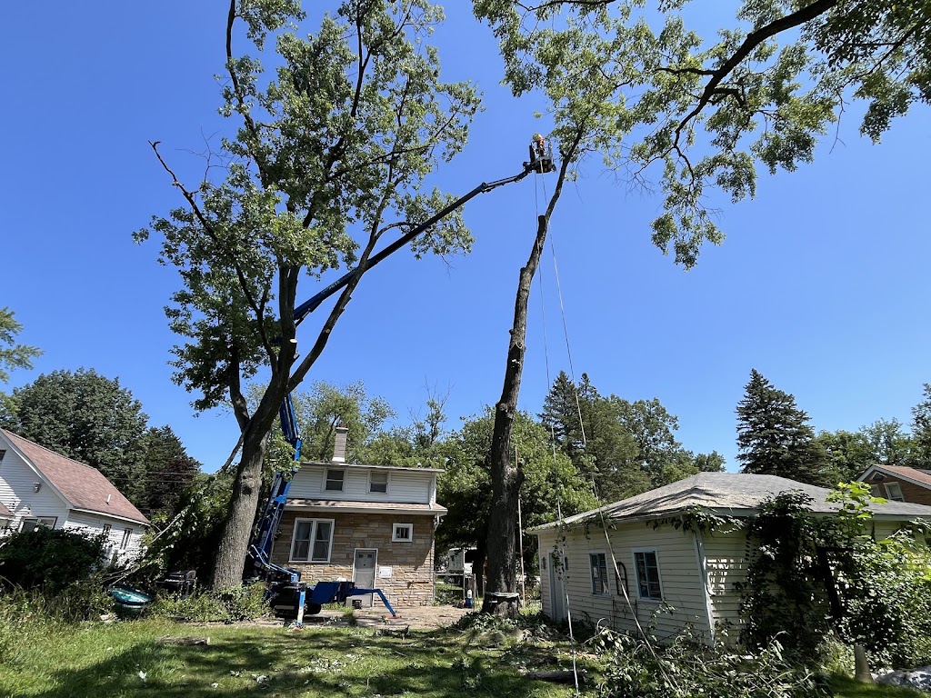 Image for JCS Tree Care Professionals LLC with ID of: 7109996
