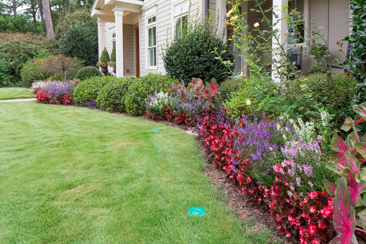 Image for Envirocare with ID of: 7110044