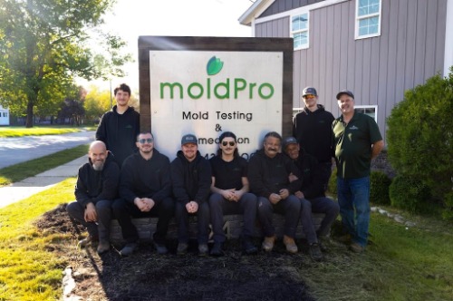 Image for MoldPro with ID of: 7110557