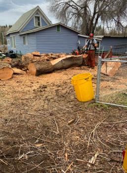 Image for Prevish Tree Service with ID of: 7110742