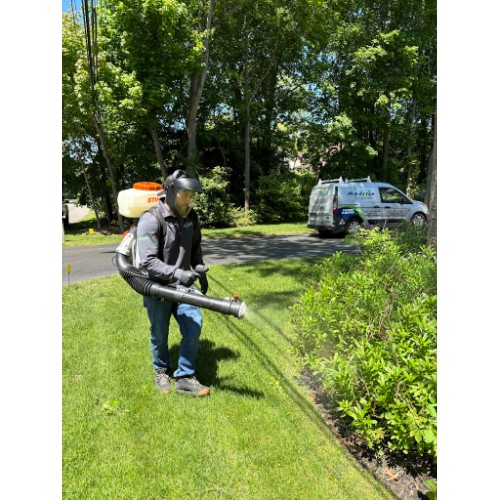 Image for Pro-Force Pest Solutions with ID of: 7110747