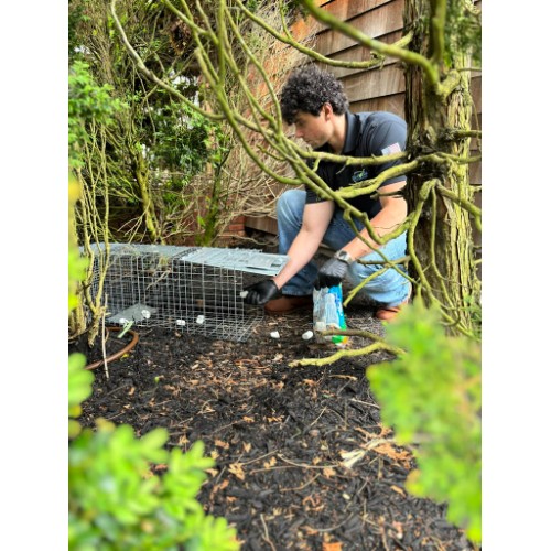 Image for Pro-Force Pest Solutions with ID of: 7110748