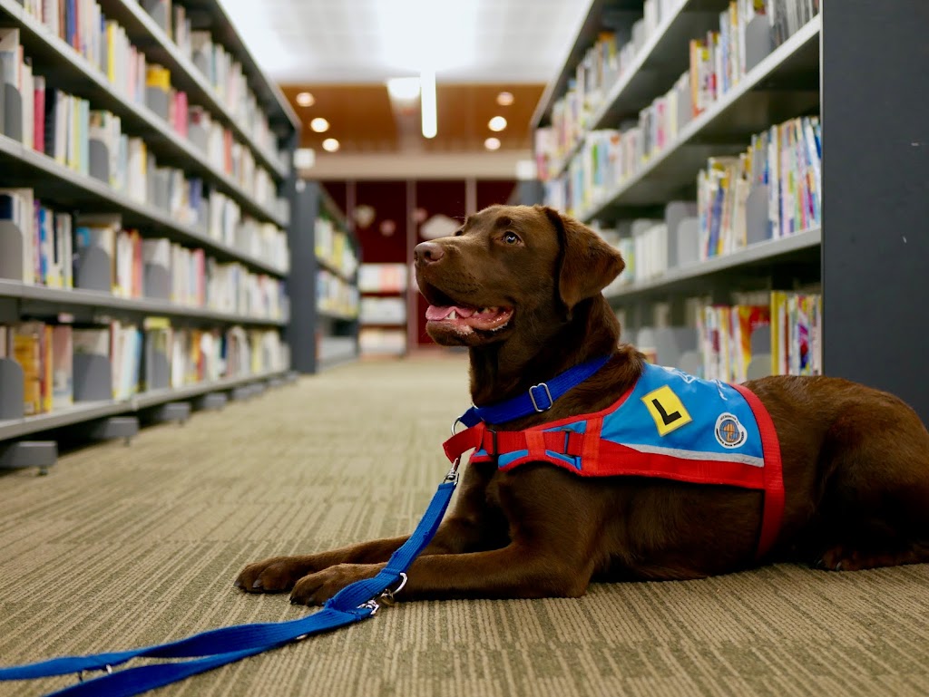 Image for Assistance Dogs Australia with ID of: 7110853