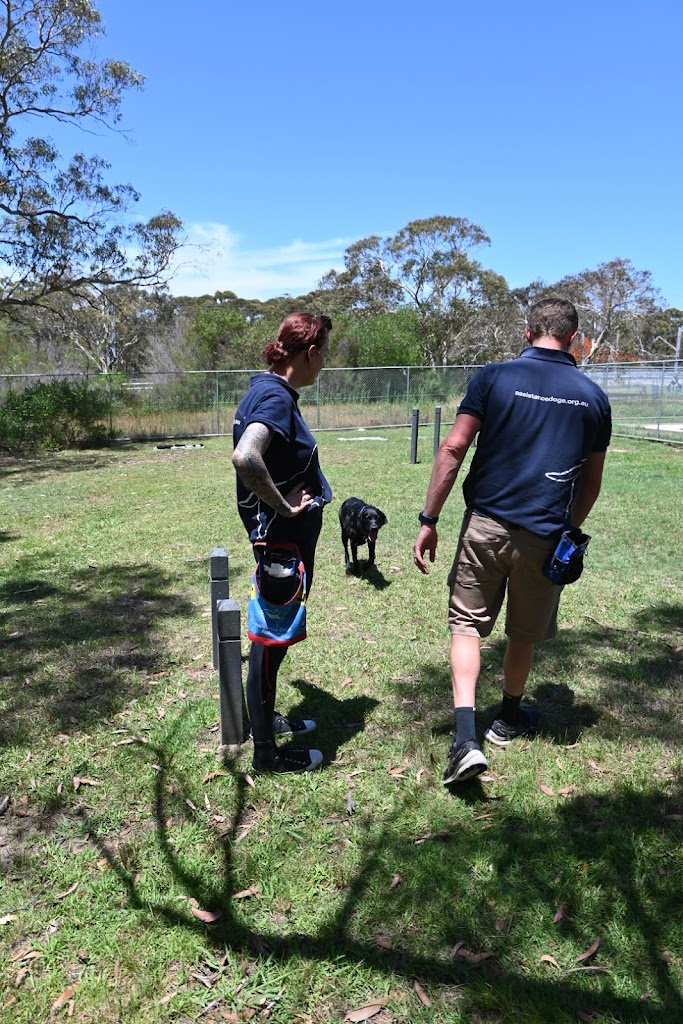 Image for Assistance Dogs Australia with ID of: 7110855