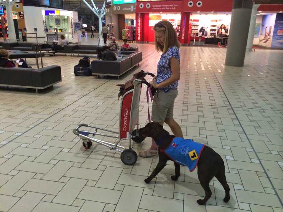 Image for Assistance Dogs Australia with ID of: 7110856