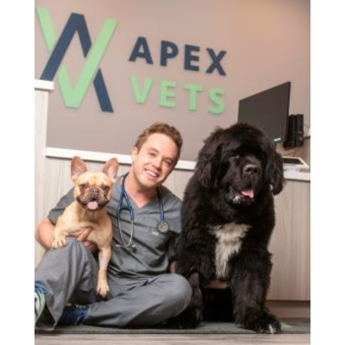 Image for Apex Vets with ID of: 7111368