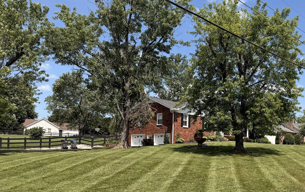 Image for Rainey Landscape Group with ID of: 7112260