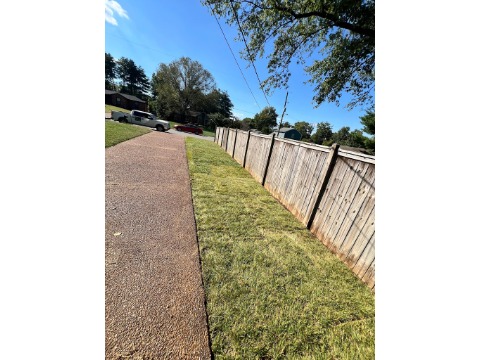 Image for Green Summer Landscape & Hardscape with ID of: 7113572
