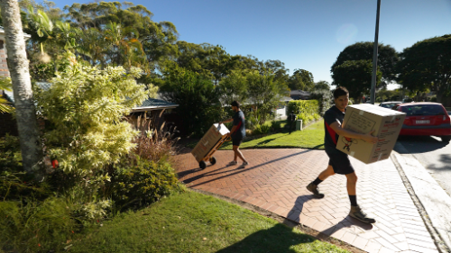 Image for Ready Movers with ID of: 7113627