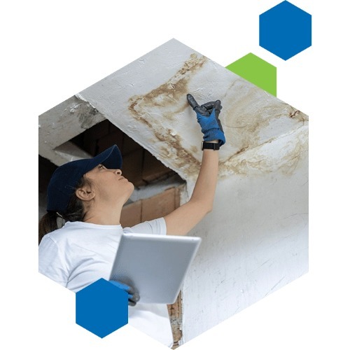 Image for Condol's Environmental Services with ID of: 7114147
