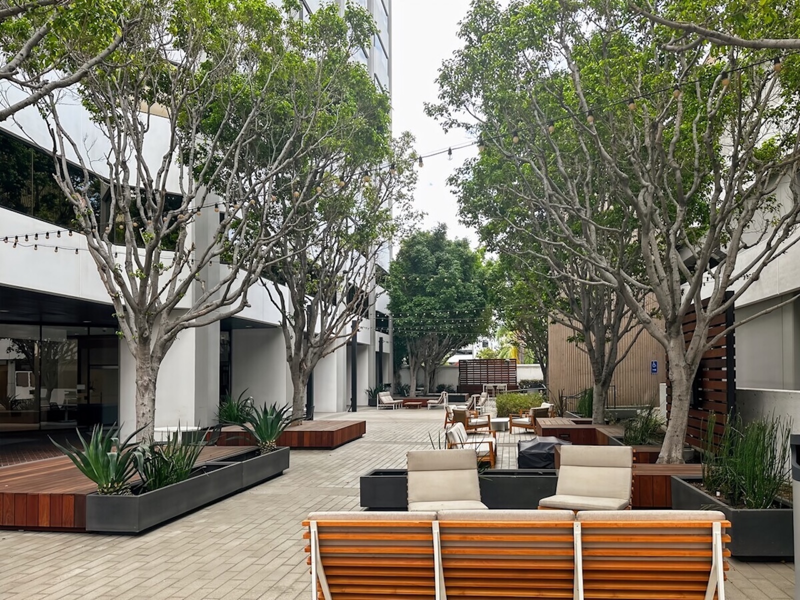 Image for Brand House with ID of: 7115368