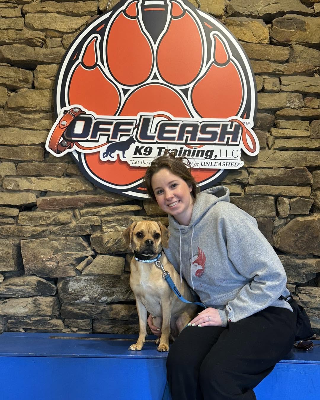 Image for Off Leash K9 Training, Pittsburgh with ID of: 7118360