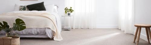 Image for Macgregor Carpet Court with ID of: 7119269