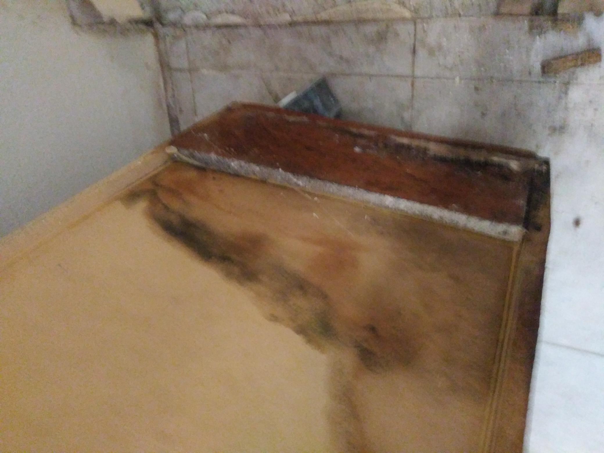 Image for Tampa Bay Mold Testing Service with ID of: 7120601