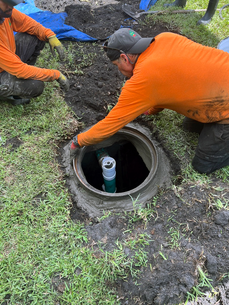 Image for Alligator Septic with ID of: 7124017
