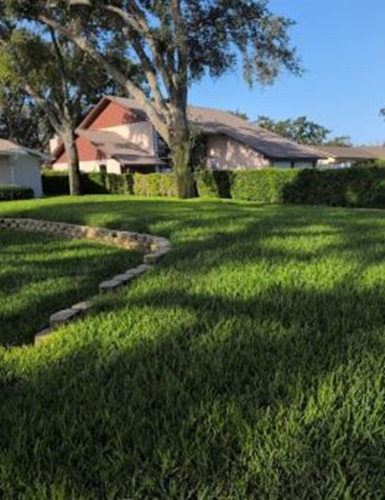 Image for Barefoot Grass with ID of: 7125096