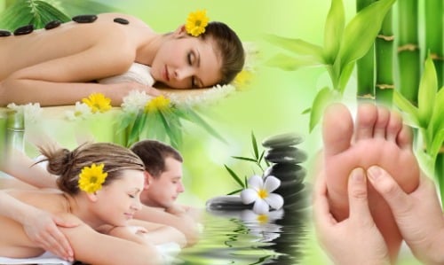 Image for Leaf Massage with ID of: 7125631