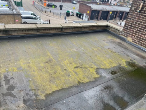 Image for Mullarkeys Clearances with ID of: 7125760