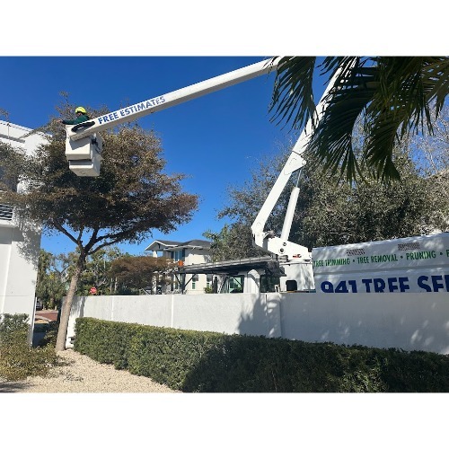 Image for 941 Tree Services LLC with ID of: 7127266