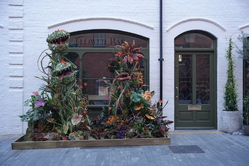 Image for Moyses Stevens Flowers with ID of: 7128155