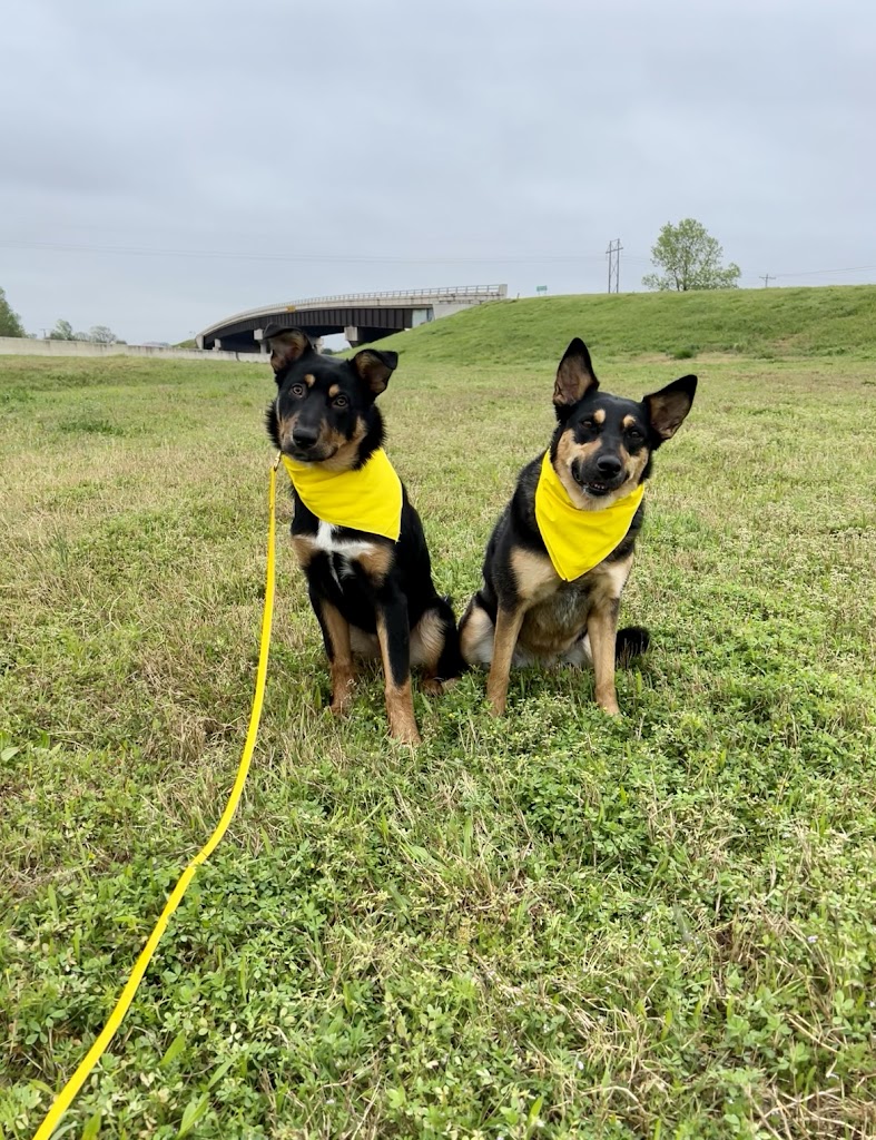 Image for Tip Top K9 Humble Dog Training with ID of: 7128487