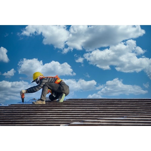 Image for Tectum Contracting with ID of: 7130011