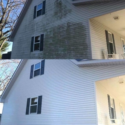 Image for Shoreline Soft Washing LLC with ID of: 7131185