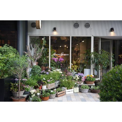 Image for Moyses Stevens Flowers with ID of: 7132274