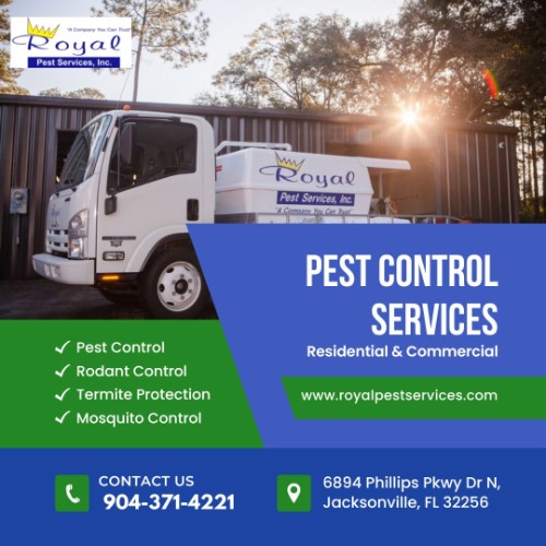 Image for RPS Jacksonville with ID of: 7132540