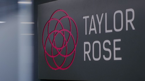 Image for Taylor Rose with ID of: 7132887