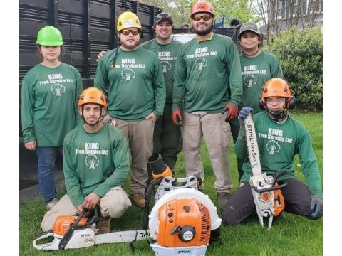 Image for King Tree Services LLC with ID of: 7134418