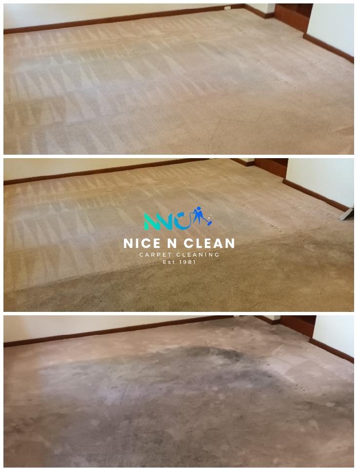 Image for Nice N Clean Carpet, Tile and Grout Cleaning with ID of: 7135873