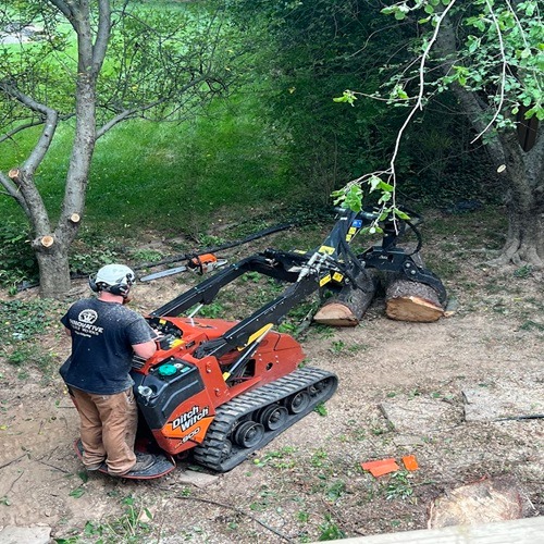 Image for Innovative Tree Works with ID of: 7136971