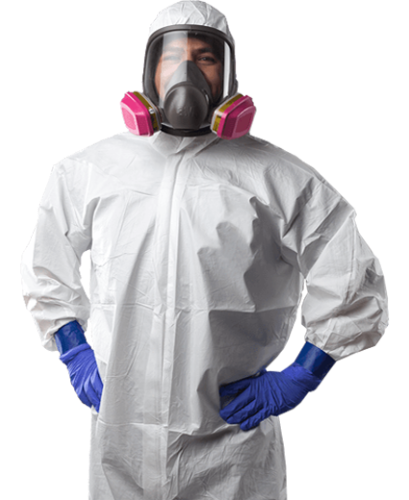 Image for Dry Ease Mold Removal NYC with ID of: 7137428