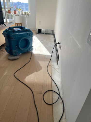 Image for Dry Ease Mold Removal NYC with ID of: 7137430
