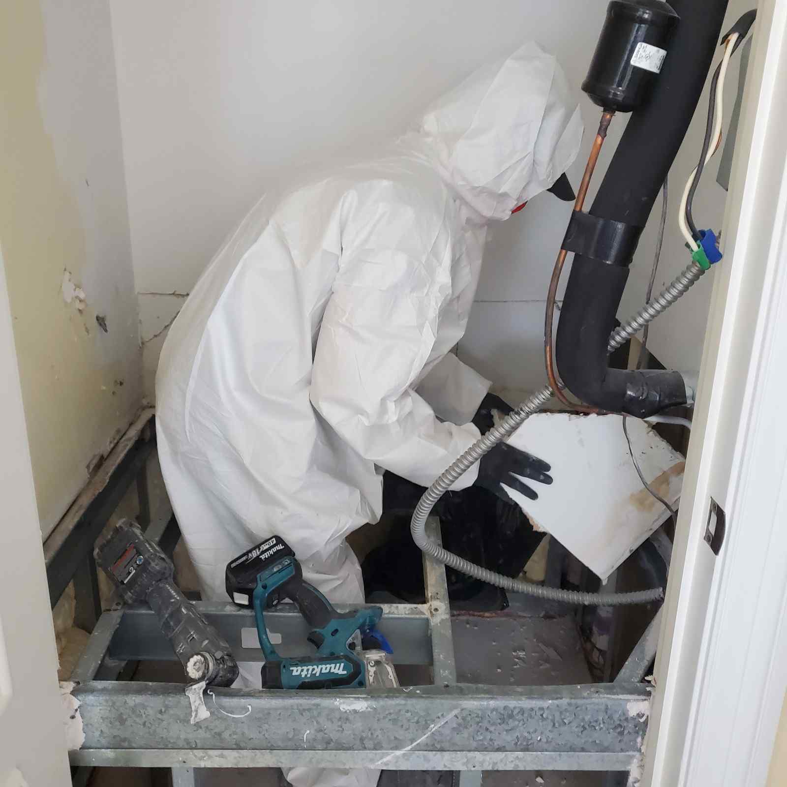 Image for Mold Rx Restoration with ID of: 7138072