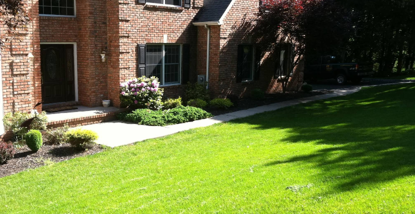 Image for Hill Landscaping with ID of: 7141302