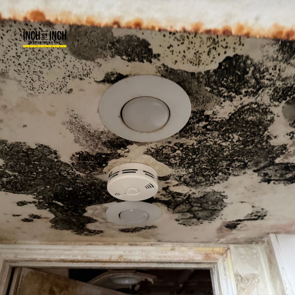 Image for Inch By Inch Inspections with ID of: 7144283