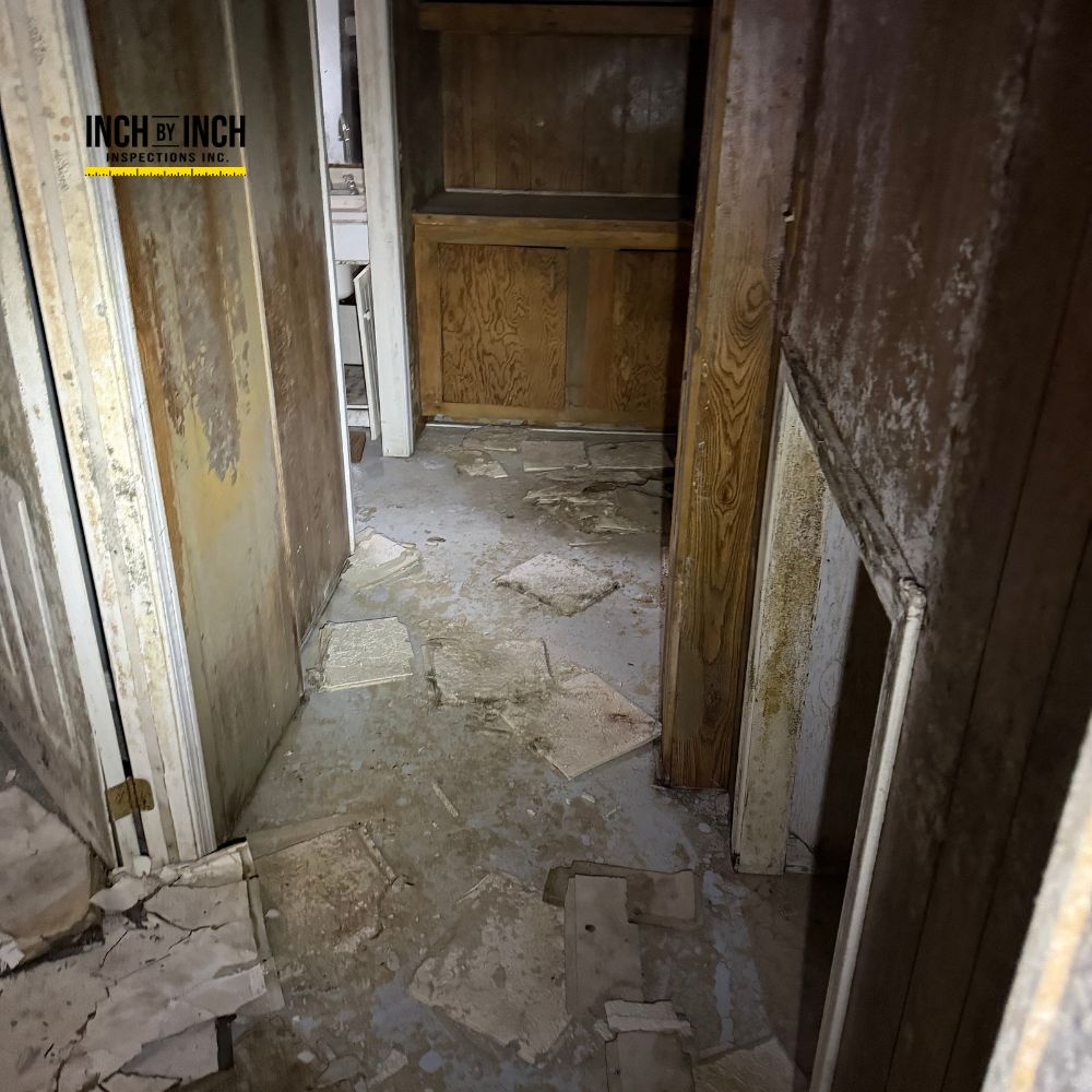 Image for Inch By Inch Inspections with ID of: 7144284