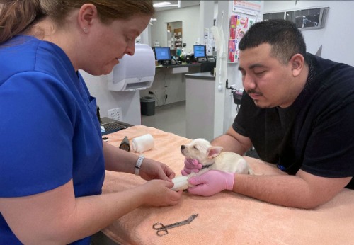 Image for ACCESS Specialty Animal Hospital – Pasadena with ID of: 7145219