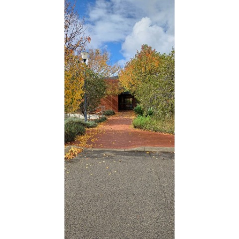 Image for Rise - Head Office with ID of: 7147735
