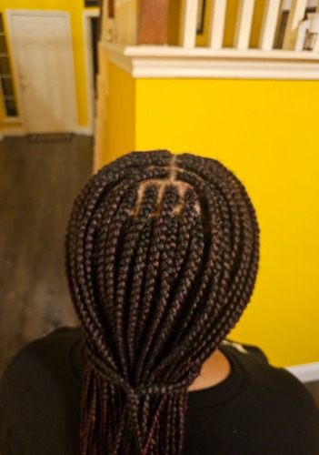 Image for Pejah Braiding with ID of: 7148935