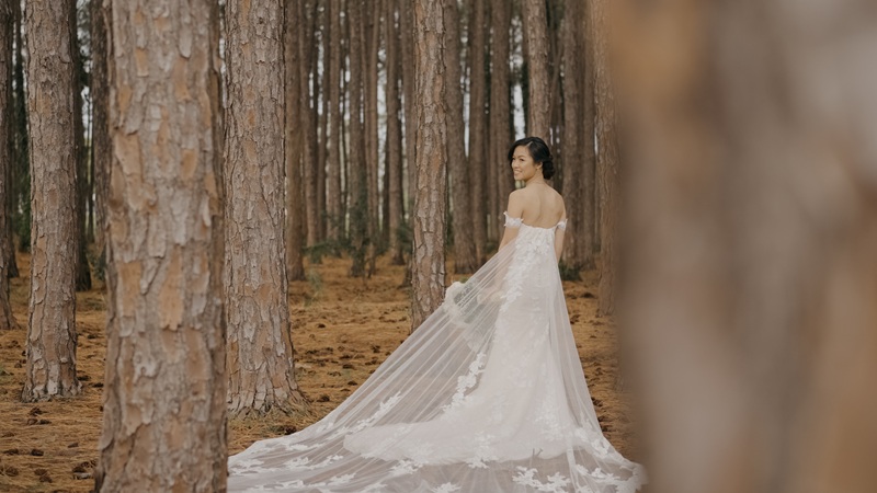 Image for Alegna Weddings with ID of: 7149753