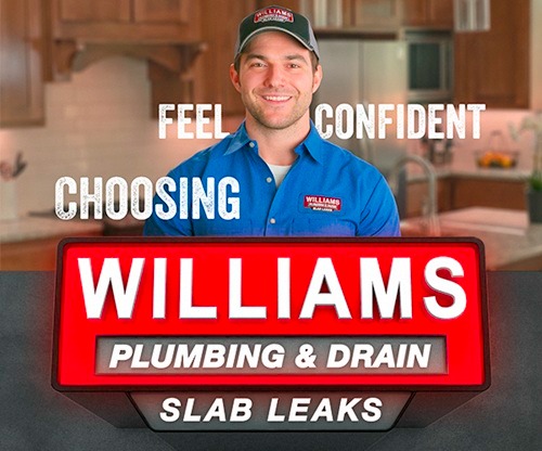 Image for Williams Plumbing & Drain Service with ID of: 7150783